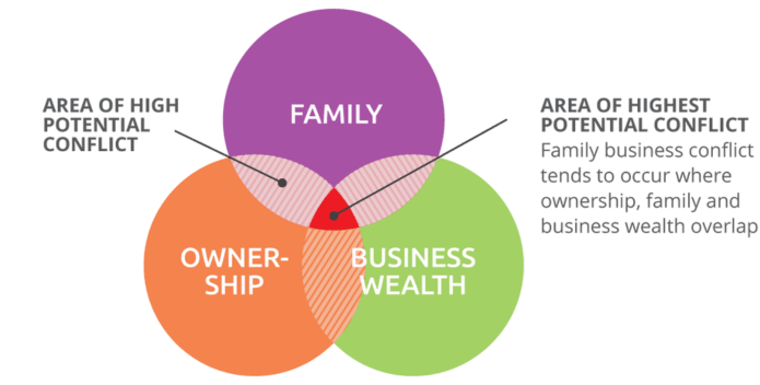 Family Business Consulting Services | REGENERATION